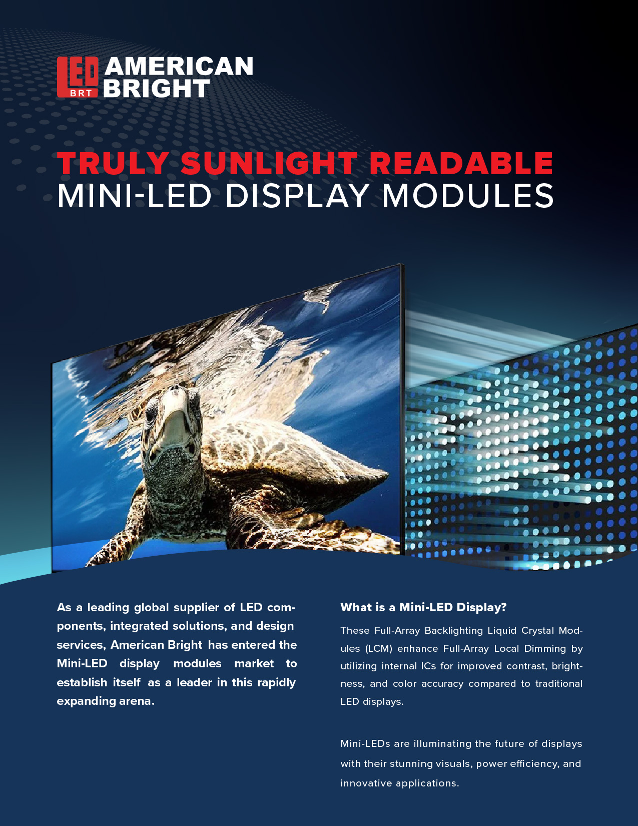 Mini-LED Display Modules
